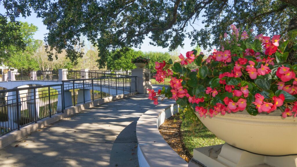 Summer Staycation Ideas: Top Central Florida Getaways!