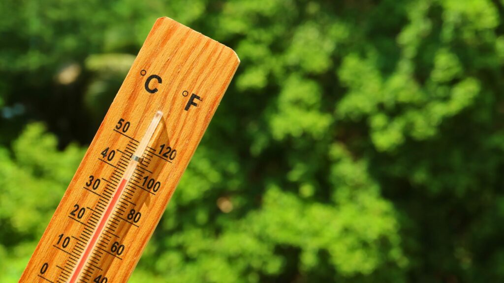 The Summer Heat is Back: Stay Cool with These Tips