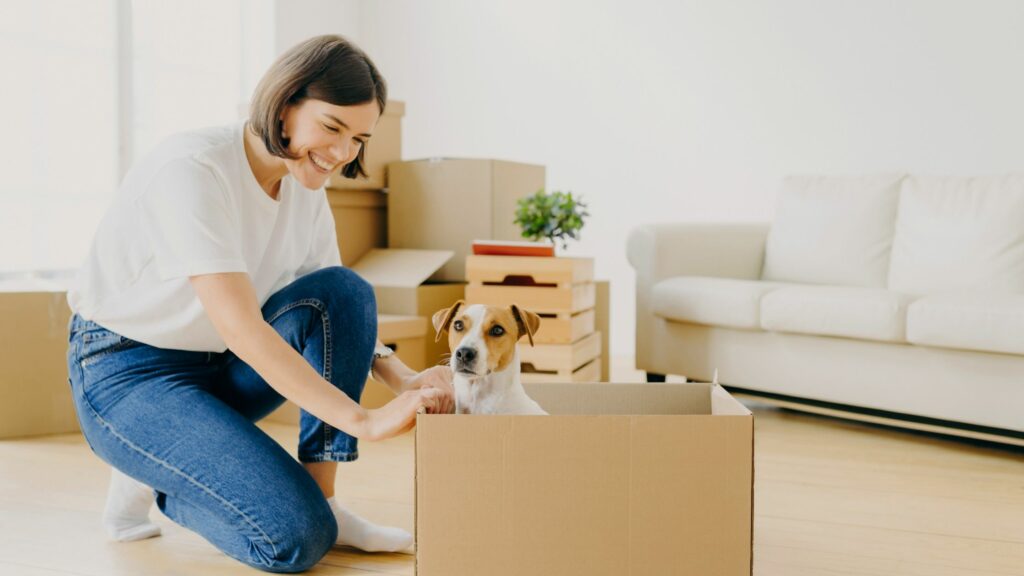 What About My Pets? How Bee Realty Corp Prioritizes Your Fur Babies When Moving