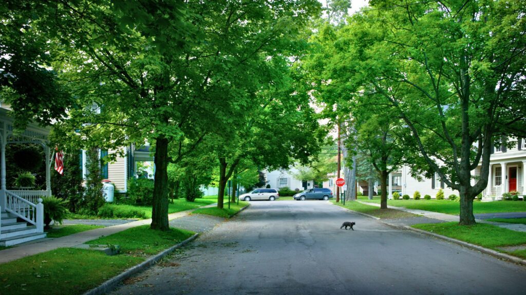 The Benefits of Living in DeLand: A Community Overview